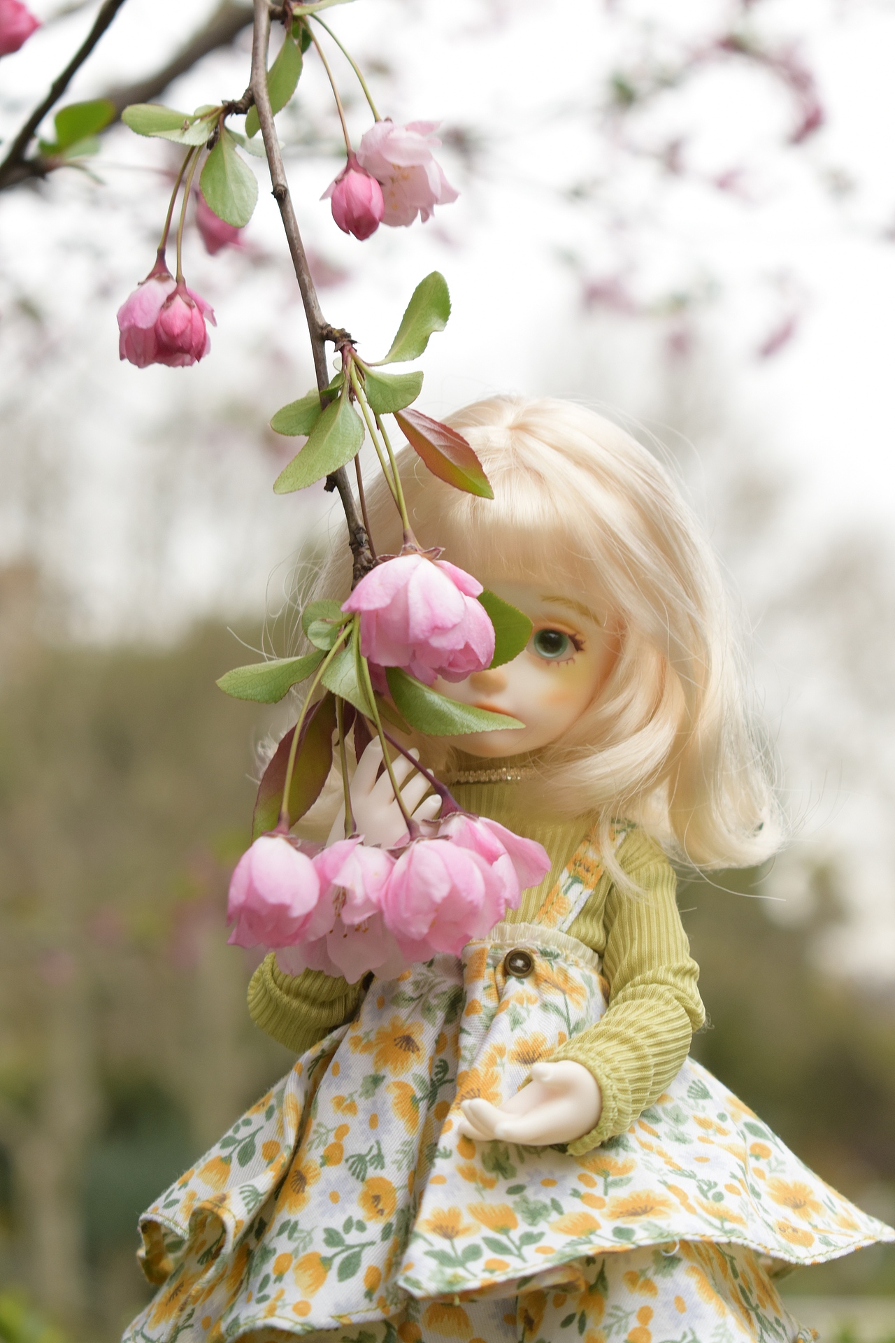 震惊!竟然在长风公园拍到了偶像!