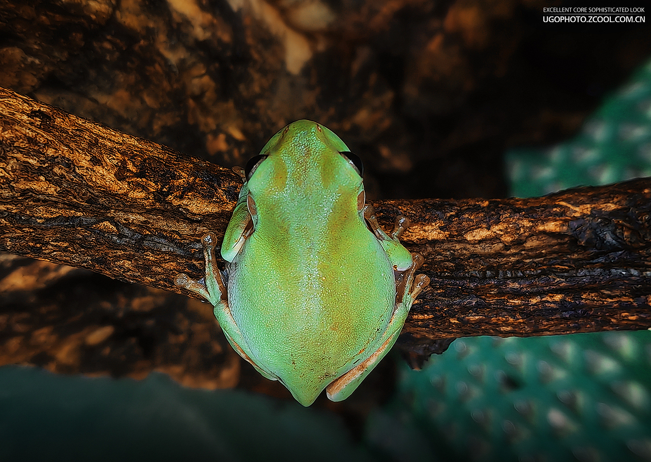 手机摄影些些【1】