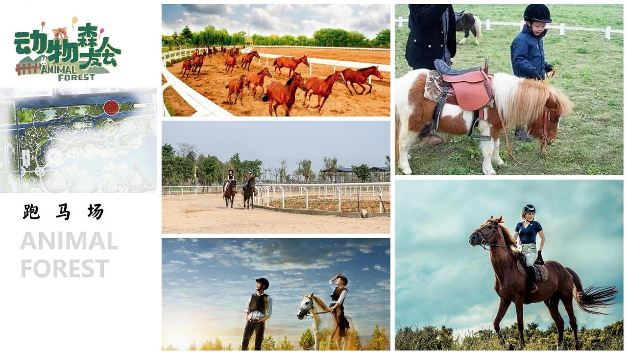 森林公园设计方案