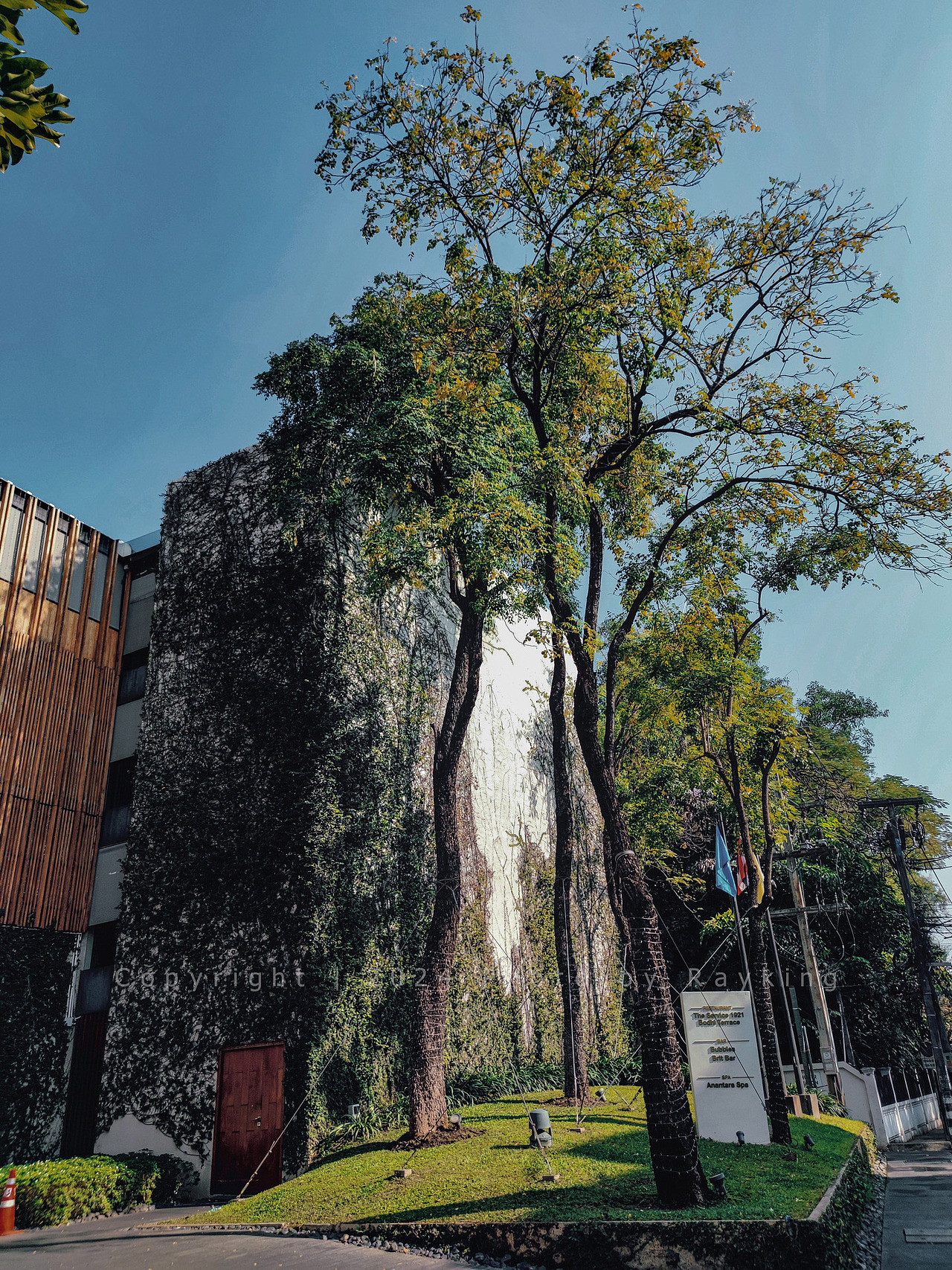 生机盎然的清迈古城