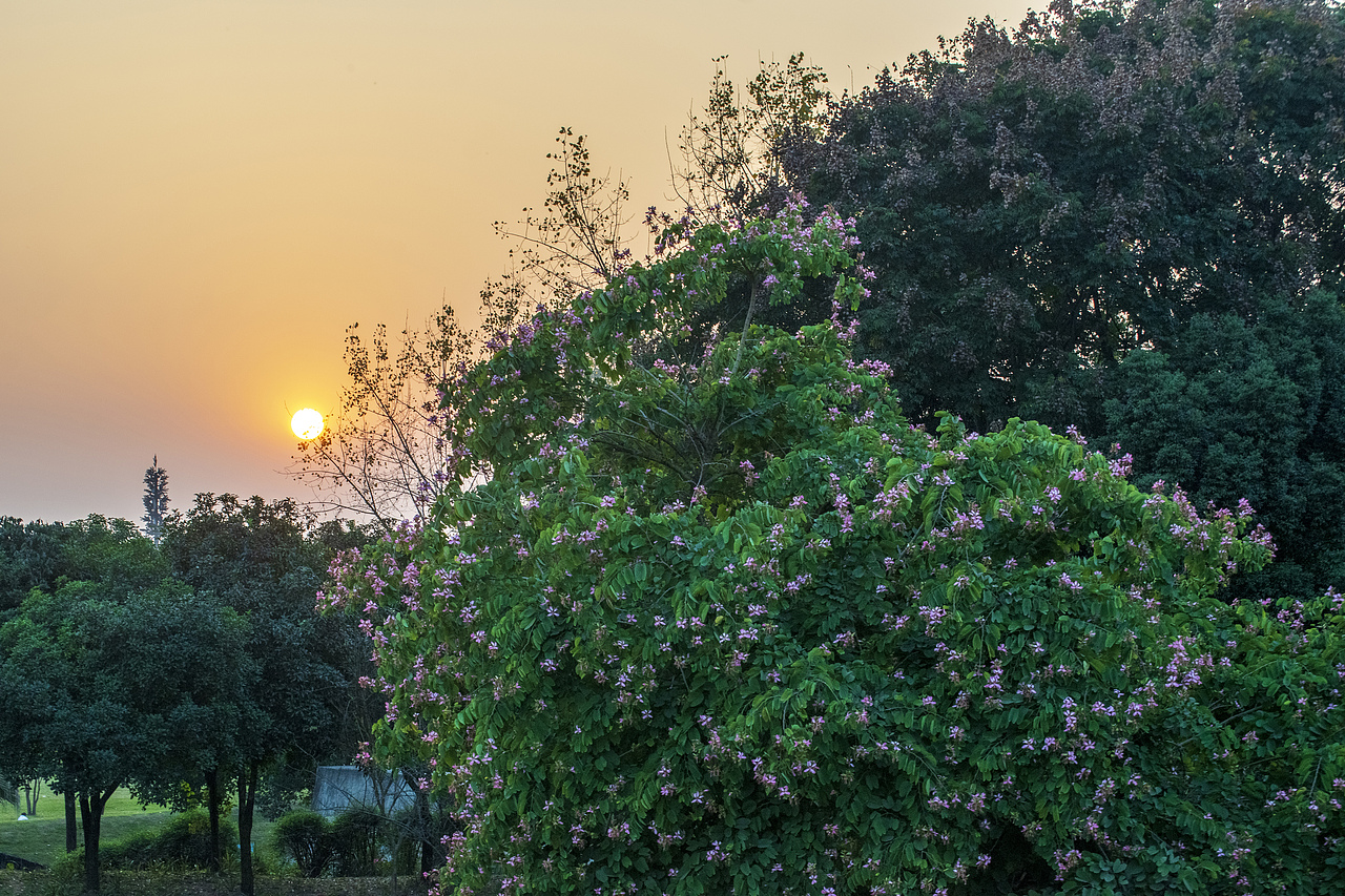 迟到的晚秋（图ZMzI3MTc2ODEy） - 风光摄影 - 站酷设计师Z425597795原创素材 - 站酷ZCOOL