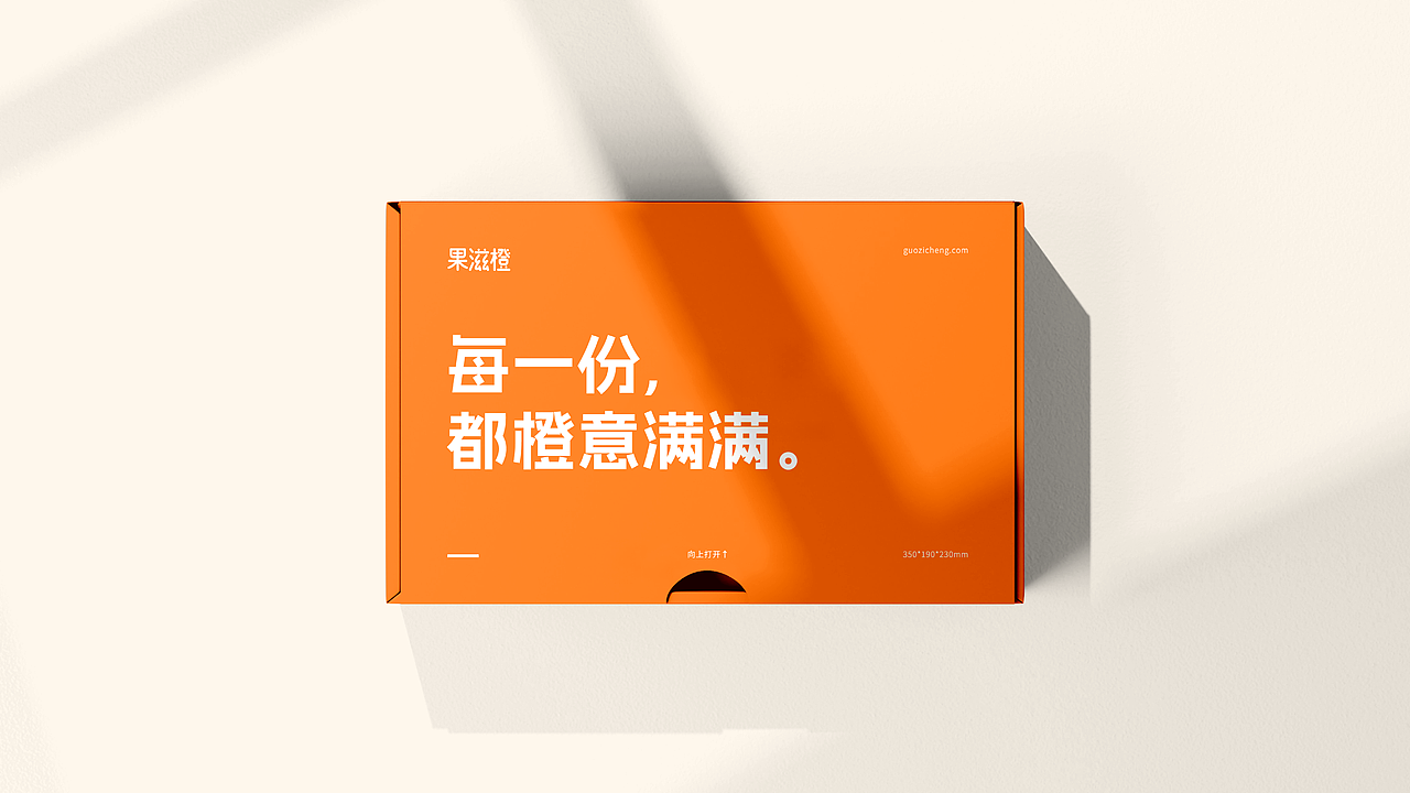 果滋橙视觉系统识别手册