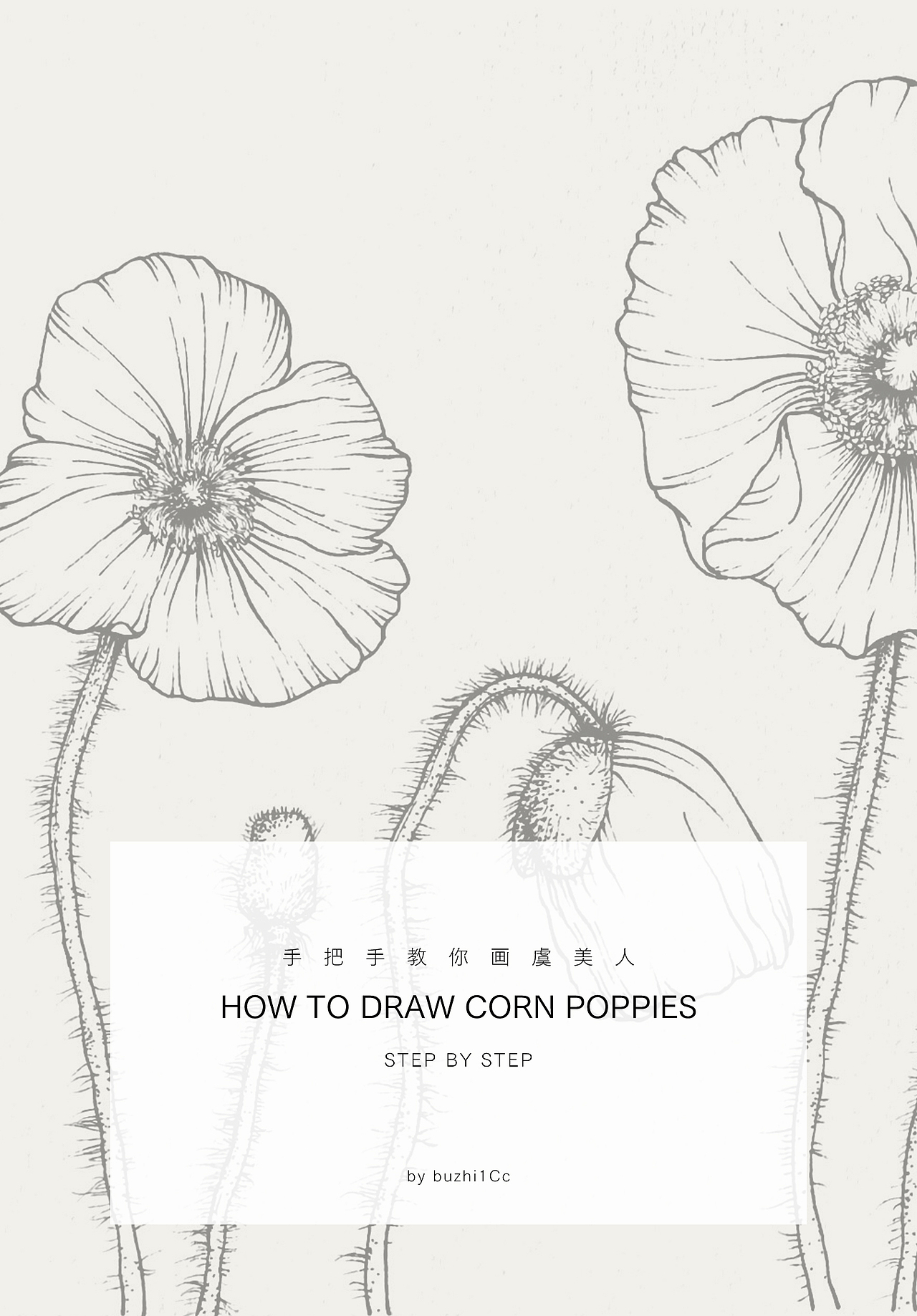 花卉线稿教程分享｜虞美人（图ZMzQ0Mjk1MTQw） - 创作习作 - 站酷设计师不只1Cc原创素材 - 站酷ZCOOL