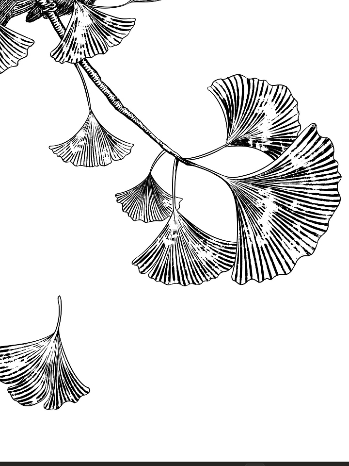 版画风 | 秋思and荷花