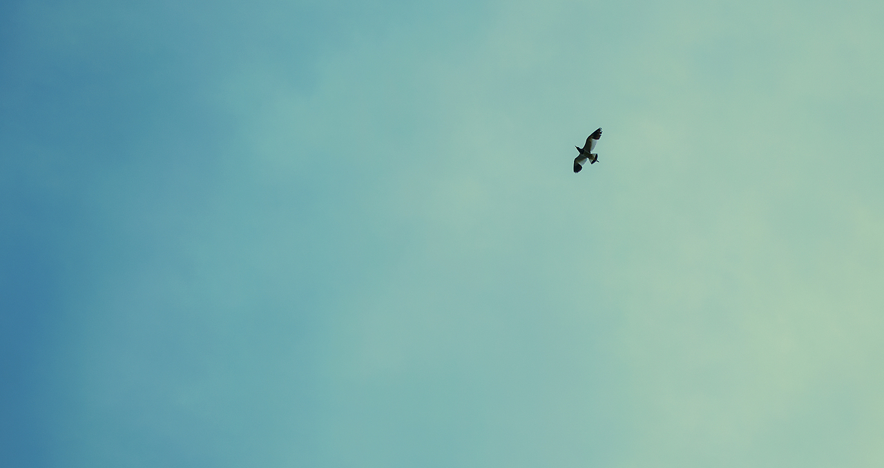 一封春日的回信（图ZMjk3Nzc3OTc2） - 人文/纪实摄影 - 站酷设计师kroos丶原创素材 - 站酷ZCOOL