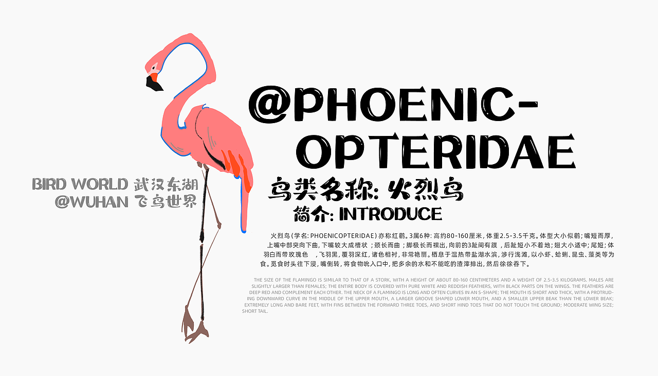 中南财经政法大学丨数字媒体专业丨周同学丨向量设计（图ZMzY1NDA5MjQ0） - APP界面 - 站酷设计师武汉向量设计原创素材 - 站酷ZCOOL