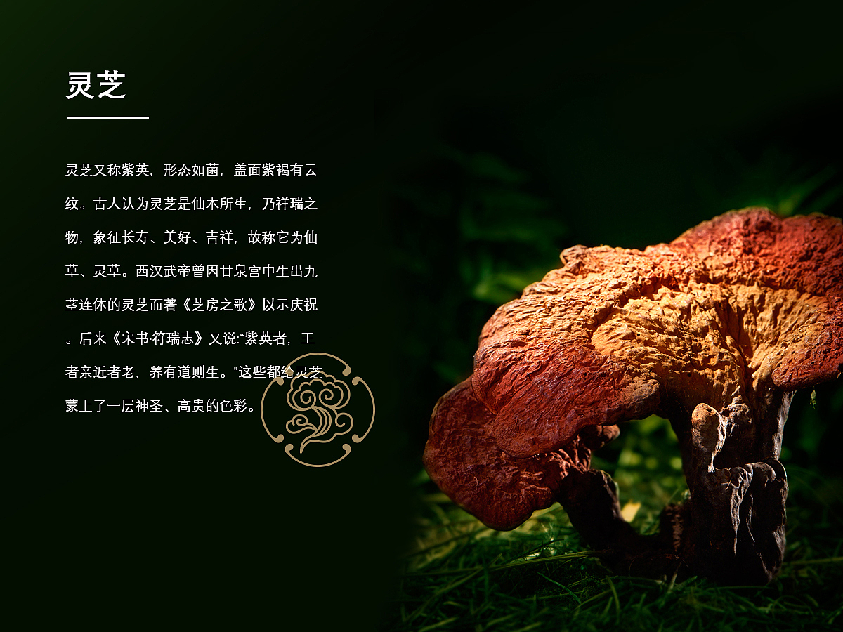 2019-2021 作品集 | LOGO（图ZMzE4OTE3MzU2） - 品牌 - 站酷设计师Idea_guO原创素材 - 站酷ZCOOL