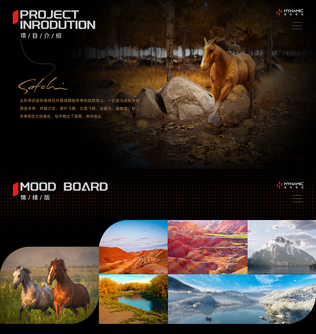 沙驰品牌裸眼3D项目