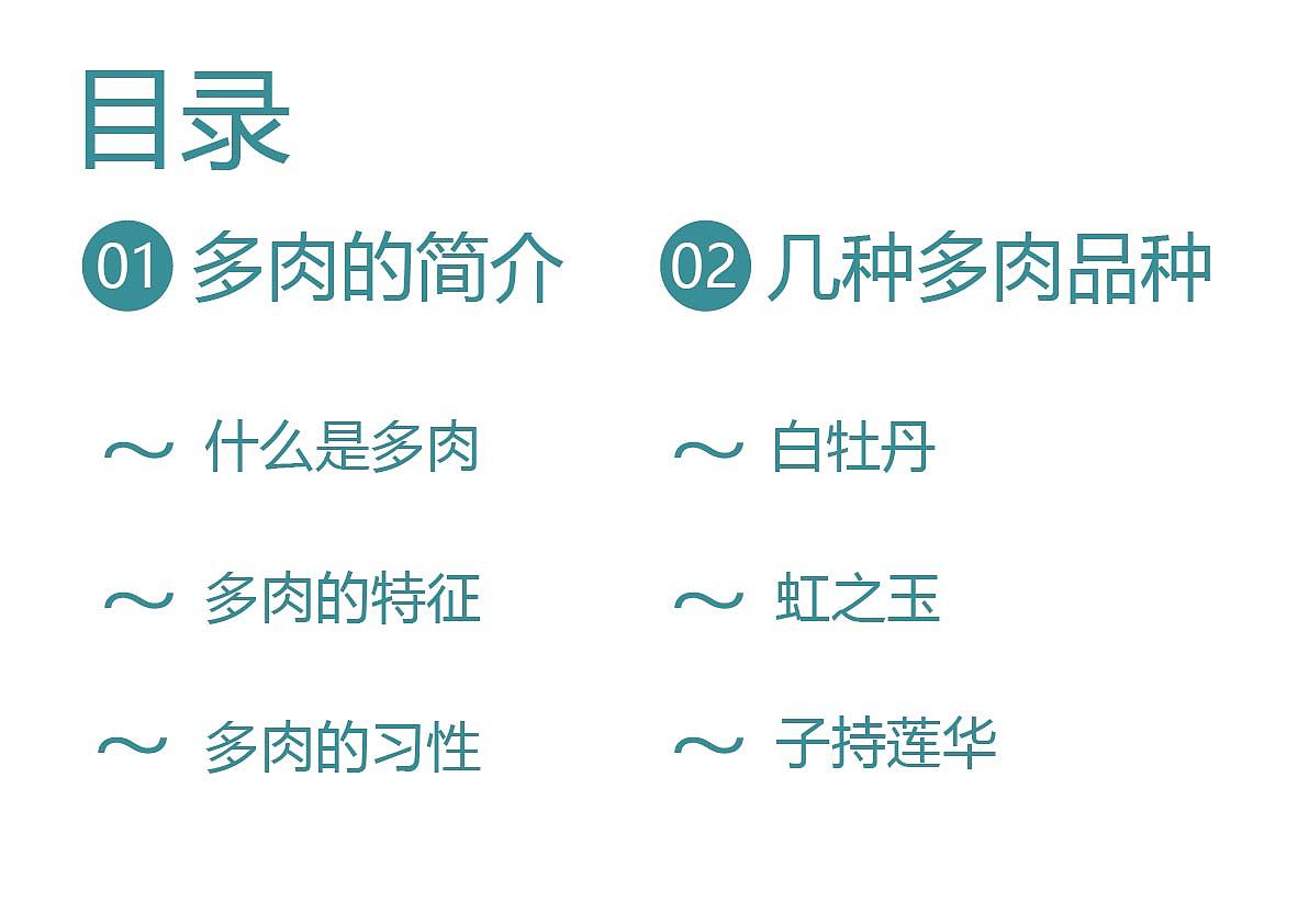 多肉画册（图ZMzQwMTk2OTAw） - 书籍/画册 - 站酷设计师客默原创素材 - 站酷ZCOOL