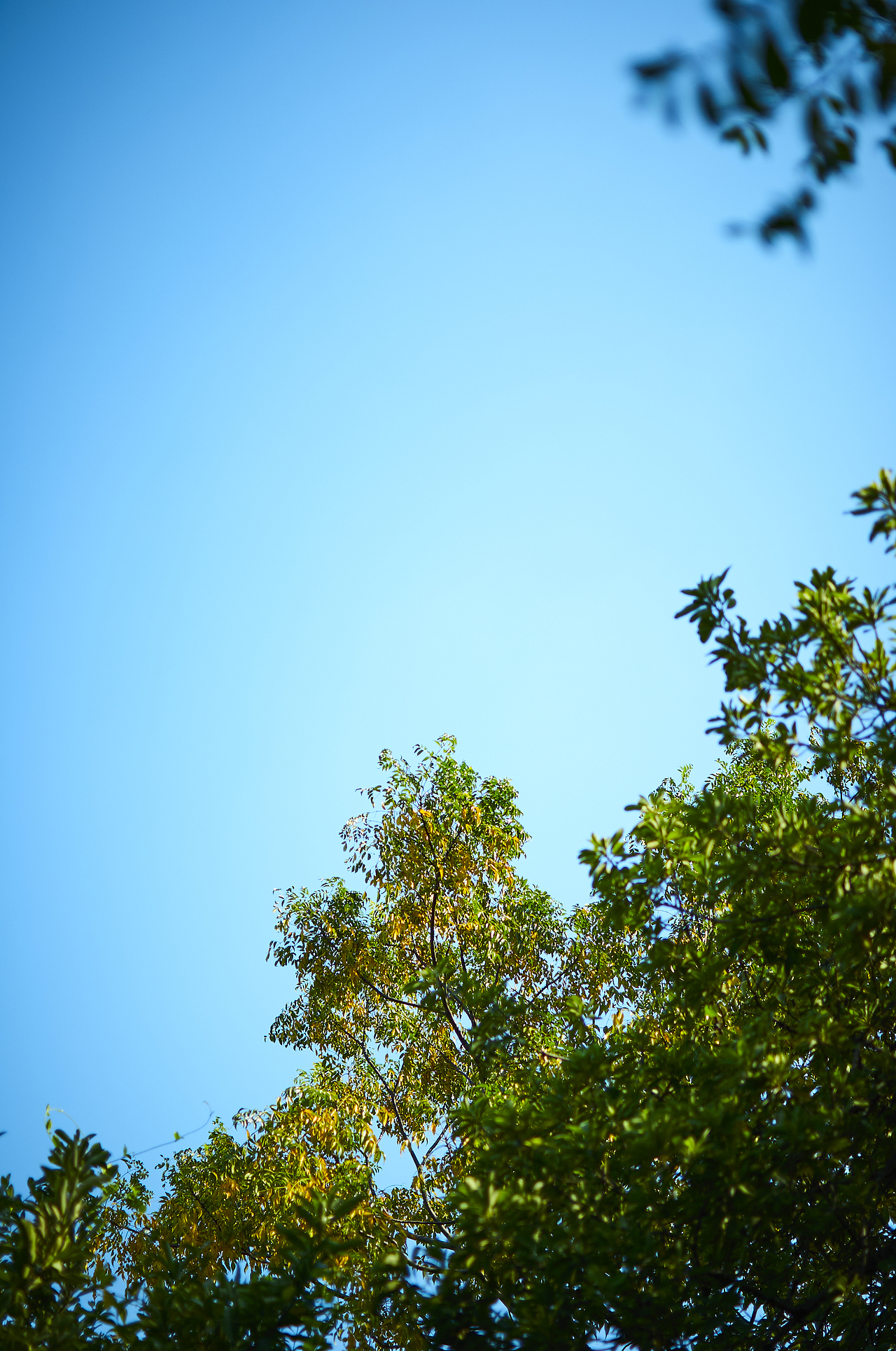 日常（图ZMzM0NzUzODIw） - 人文/纪实摄影 - 站酷设计师大只秋原创素材 - 站酷ZCOOL