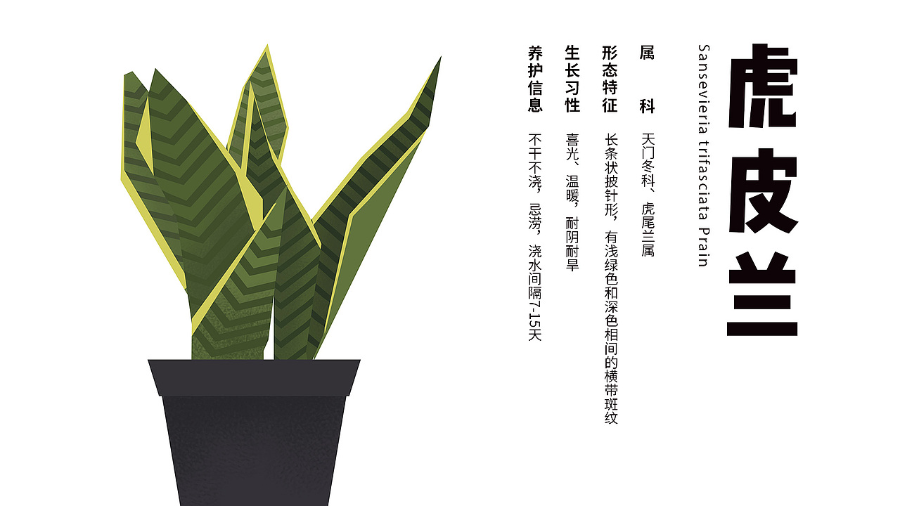 【BOLU】绿植品牌VI-Green plant design（图ZMzAzMDQxNTgw） - Logo - 站酷设计师卷卷心呀原创素材 - 站酷ZCOOL
