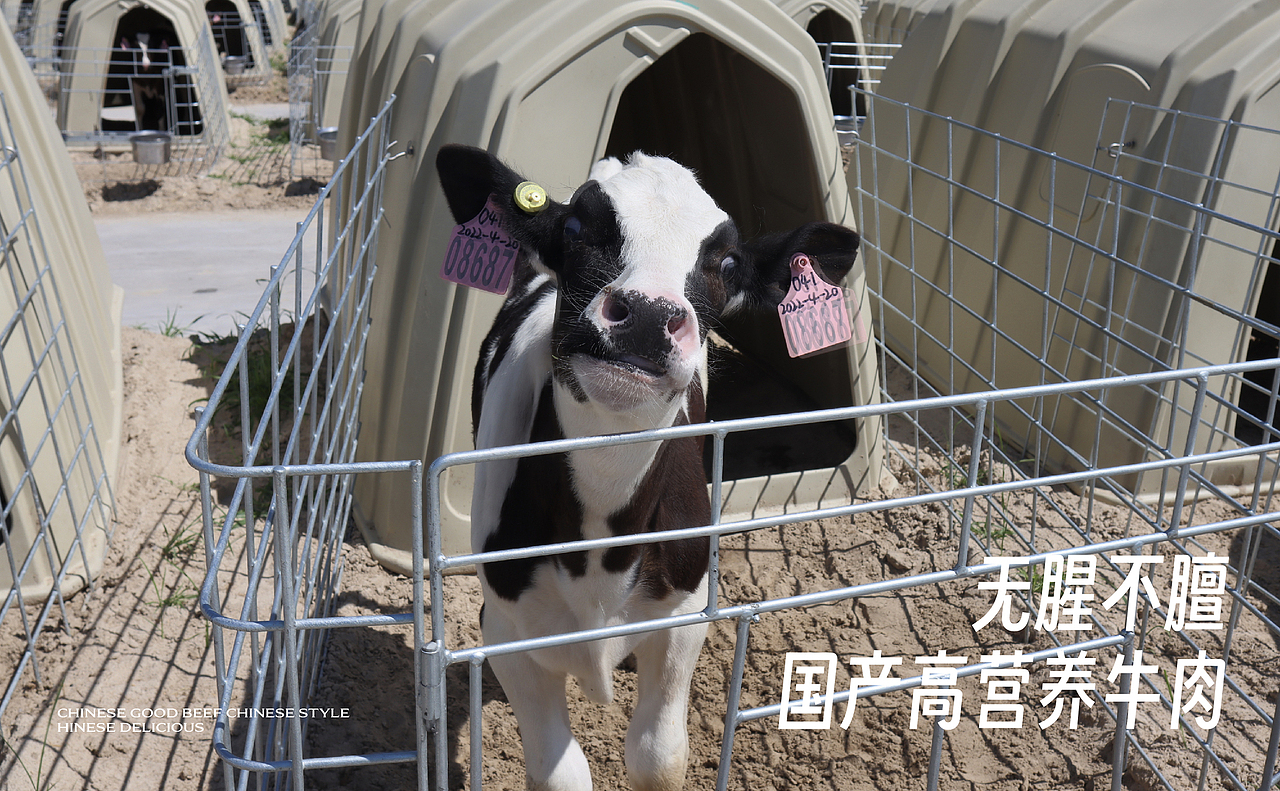 华牛牧场 | ABD案例(图ZMzQ3NDUwMDQw) - 品牌 - 站酷设计师ABD品牌策略设计原创素材 - 站酷ZCOOL