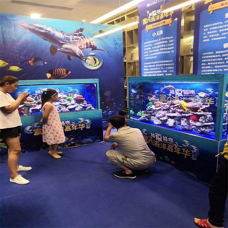 群鸟争鸣百鸟展海洋生物展租赁出售