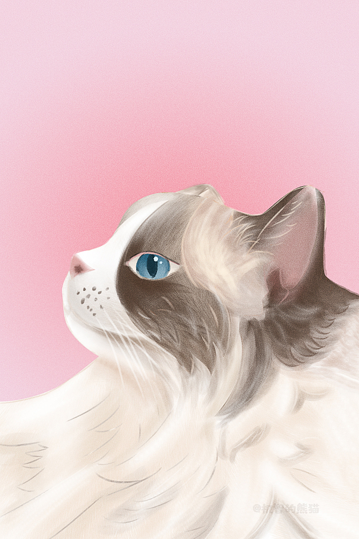 最近一点点猫咪（图ZMjk5Mjk3NjQ0） - 创作习作 - 站酷设计师机智的熊猫原创素材 - 站酷ZCOOL