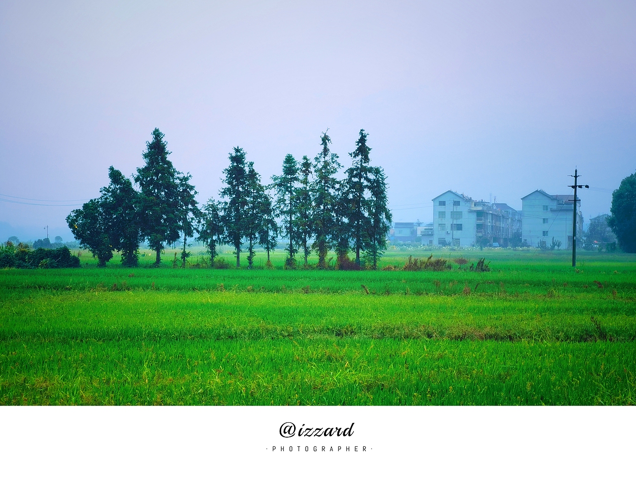 《凤栖梧林》（图ZMzE5MTk1MjA4） - 人文/纪实摄影 - 站酷设计师IZZARD盜原创素材 - 站酷ZCOOL