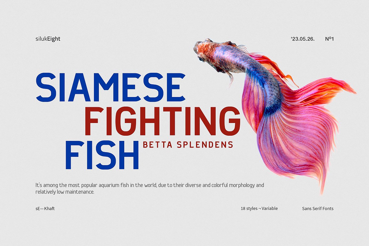 现代时尚品牌画册杂志标题排版无衬线英文字体家族（图ZMzQ4NDE2NDA0） - 字体/字形 - 站酷设计师最西文集原创素材 - 站酷ZCOOL