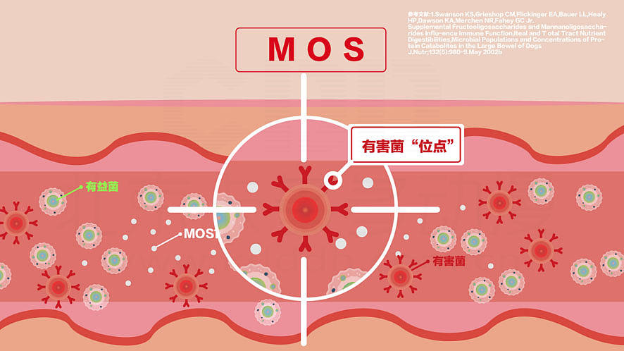 MG动画MG动画MG动画MG动画（图ZMzEzOTY5NzY0） - 其他动漫 - 站酷设计师MG动画原创素材 - 站酷ZCOOL