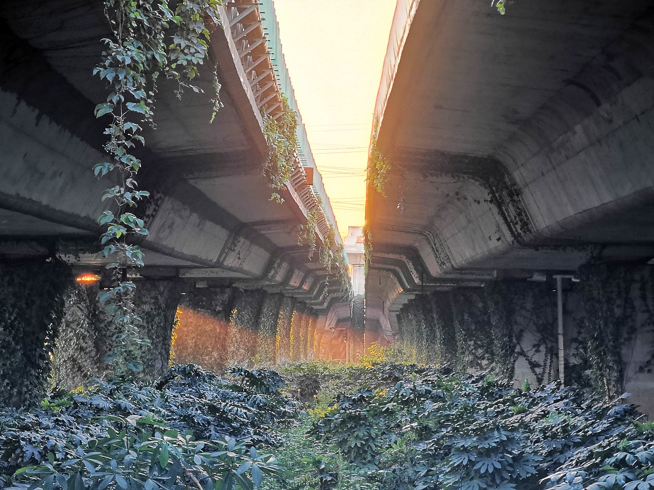 个人摄影作品集