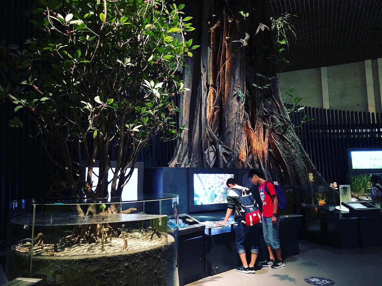 东京国立科学博物馆（图ZMzA5OTUxODMy） - 展陈设计 - 站酷设计师JIANG2015原创素材 - 站酷ZCOOL