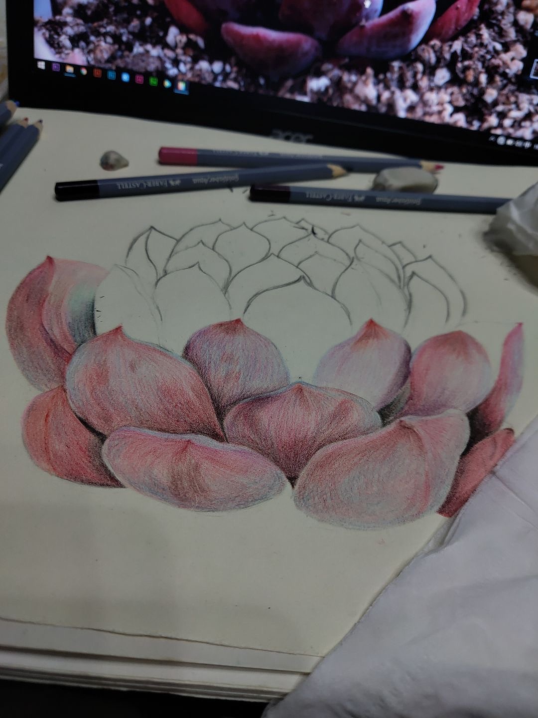 自己养多肉画自己的多肉