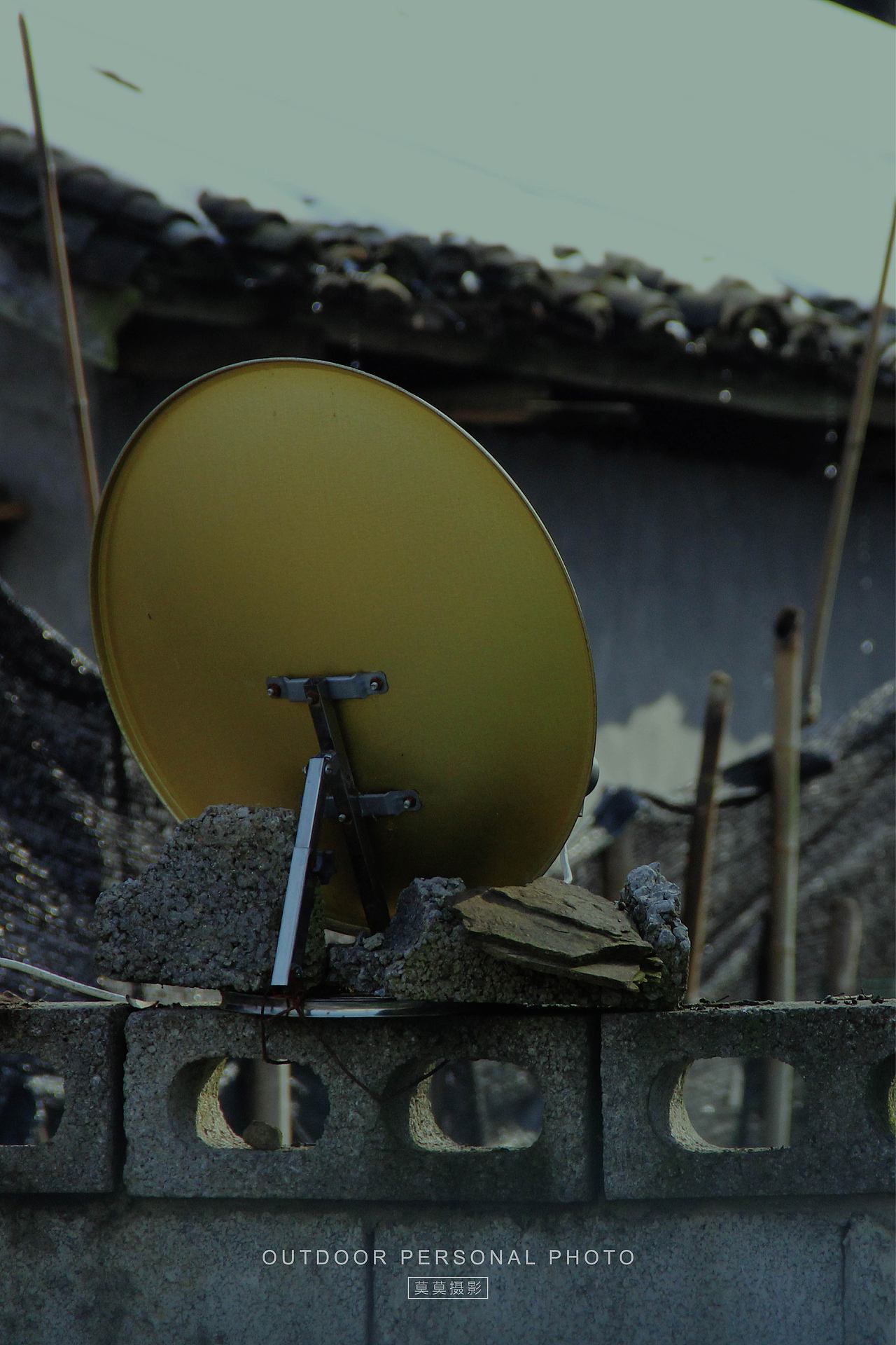 村里的风景,平淡却耐看
