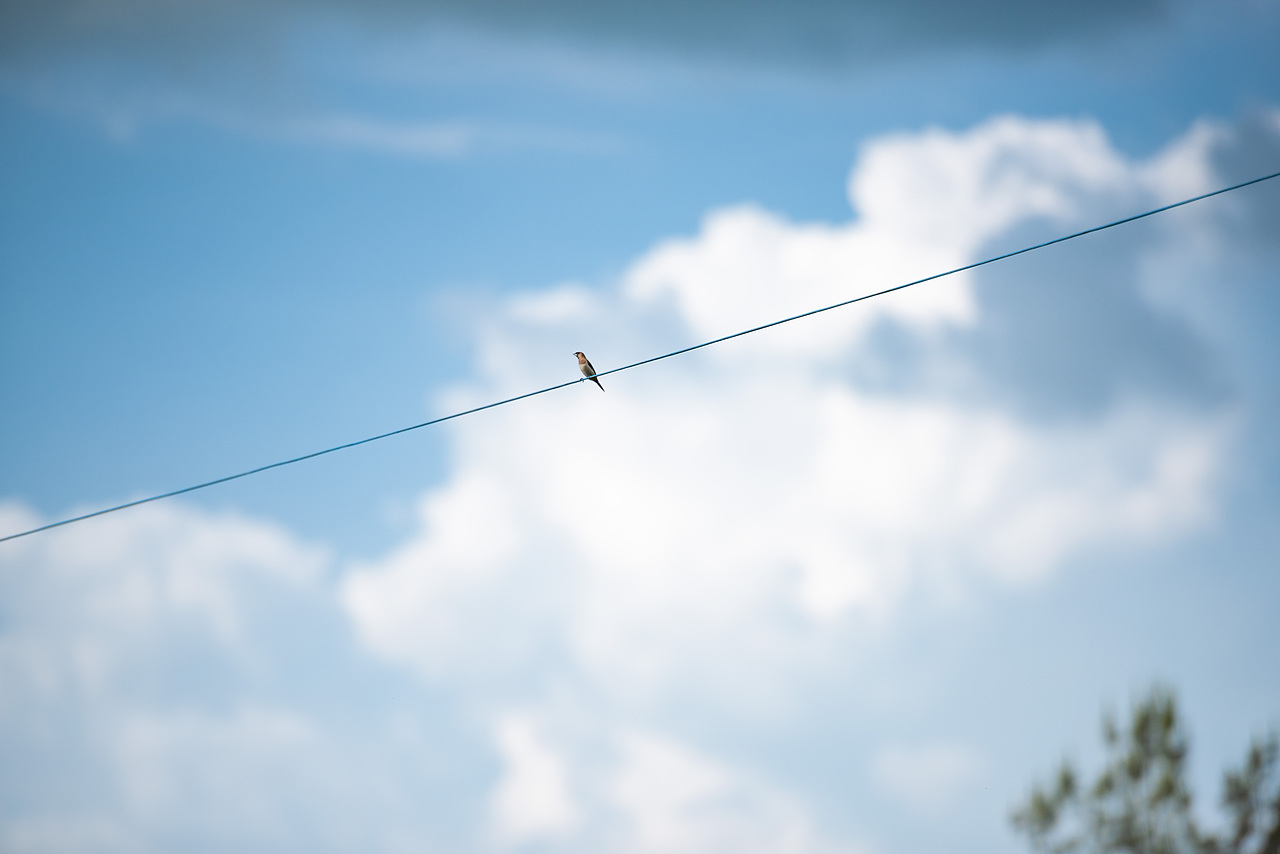 夏天的云（图ZMzA0MzA5MTQ4） - 风光摄影 - 站酷设计师MINI黄原创素材 - 站酷ZCOOL