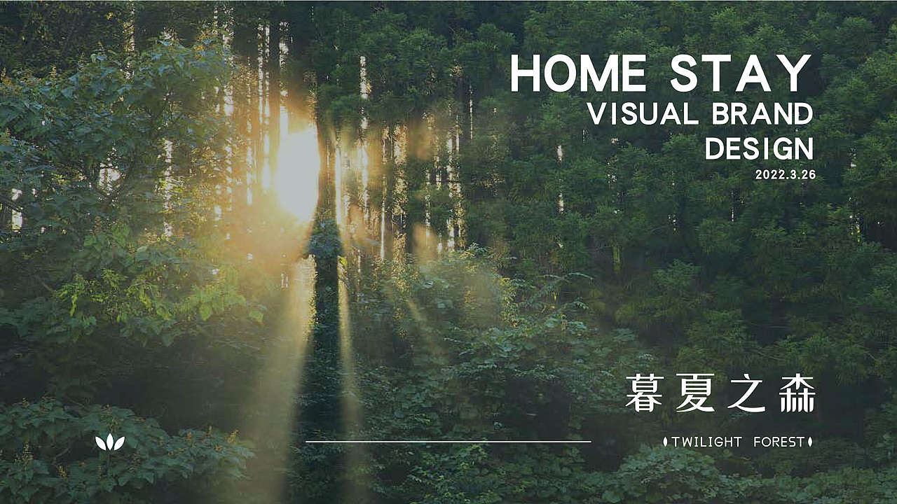 暮夏之森丨民宿品牌设计VI