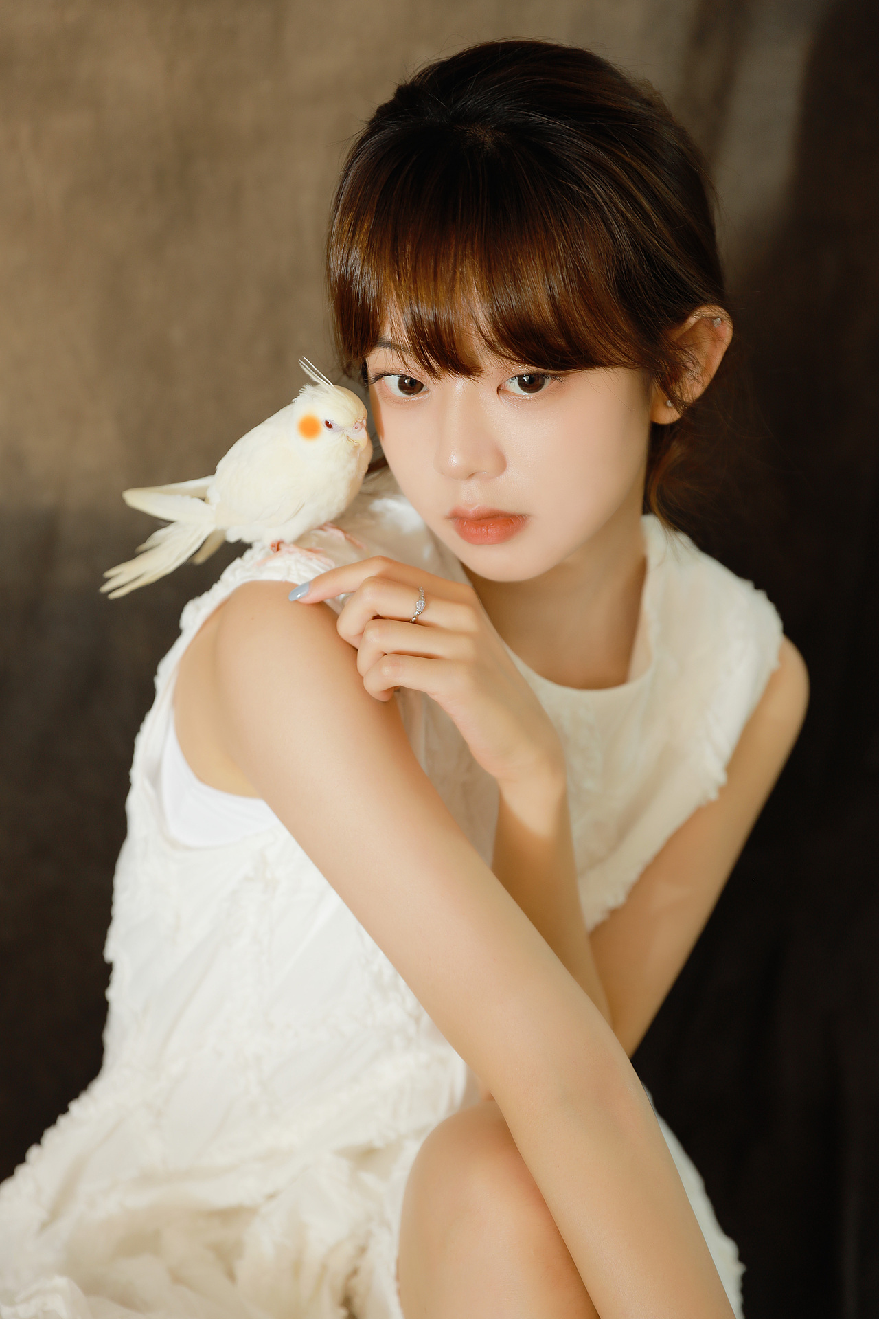 复古少女VS白子玄凤