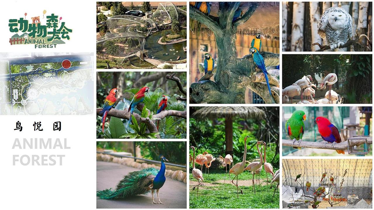 森林公园设计方案