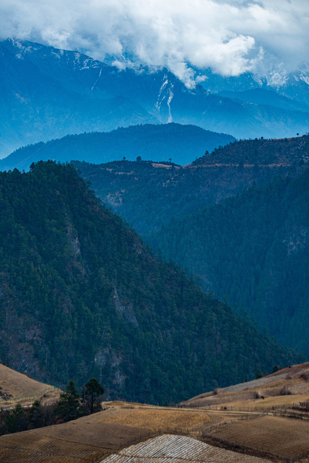 云南之行（图ZMzU3OTczNzA4） - 风光摄影 - 站酷设计师鲸不见大海原创素材 - 站酷ZCOOL