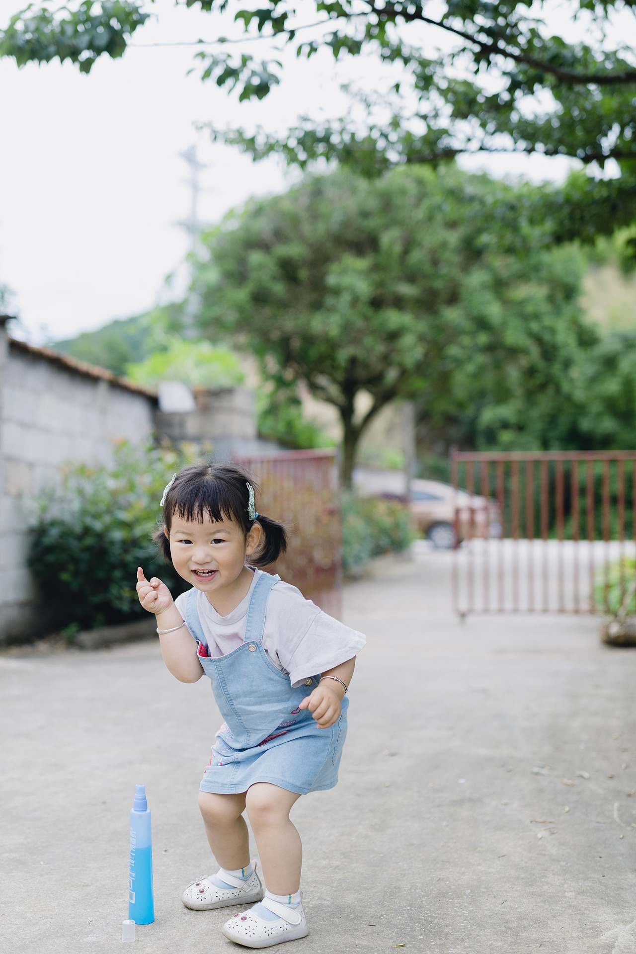带了很多杨梅回杭