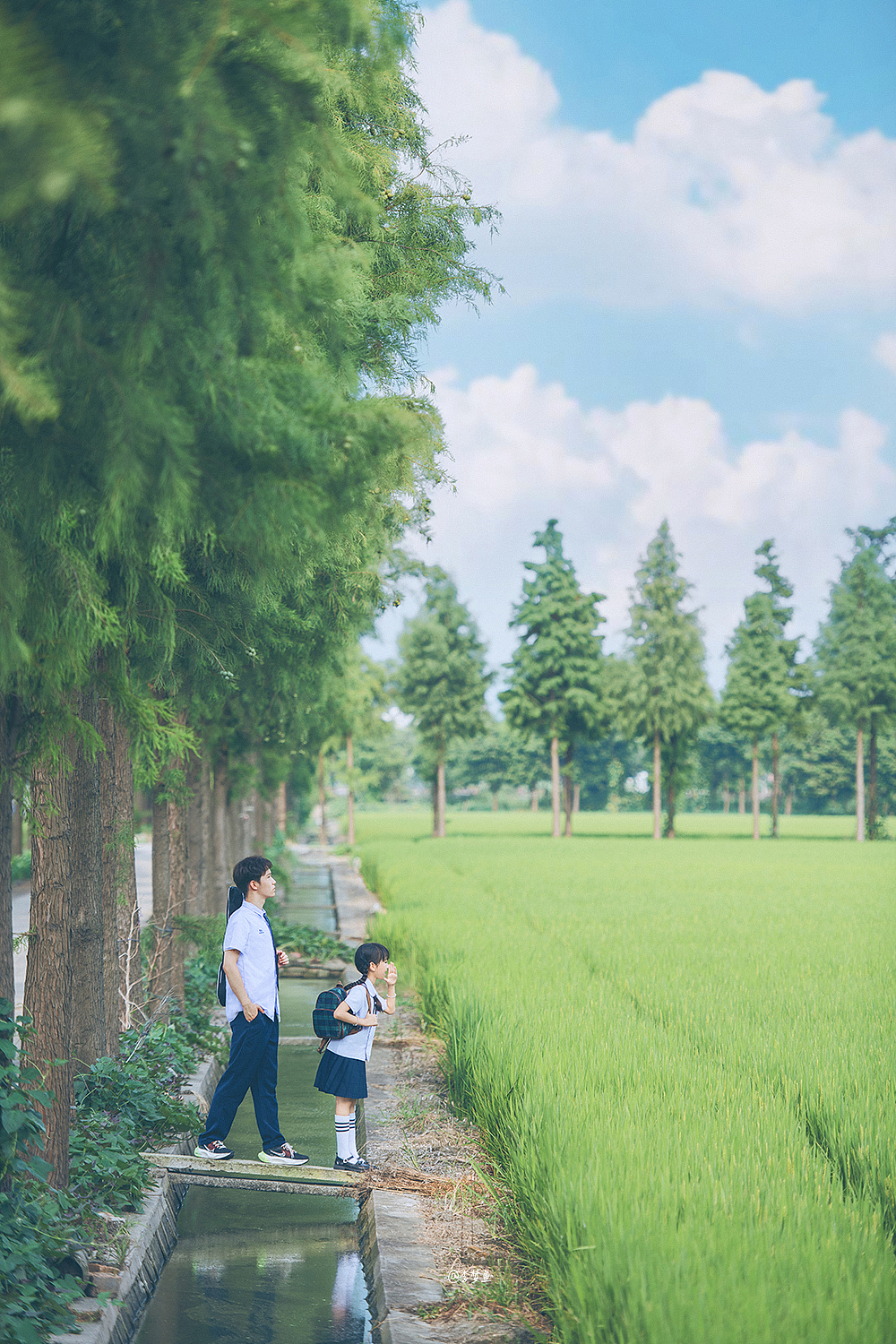 仲夏日记 •我和哥哥