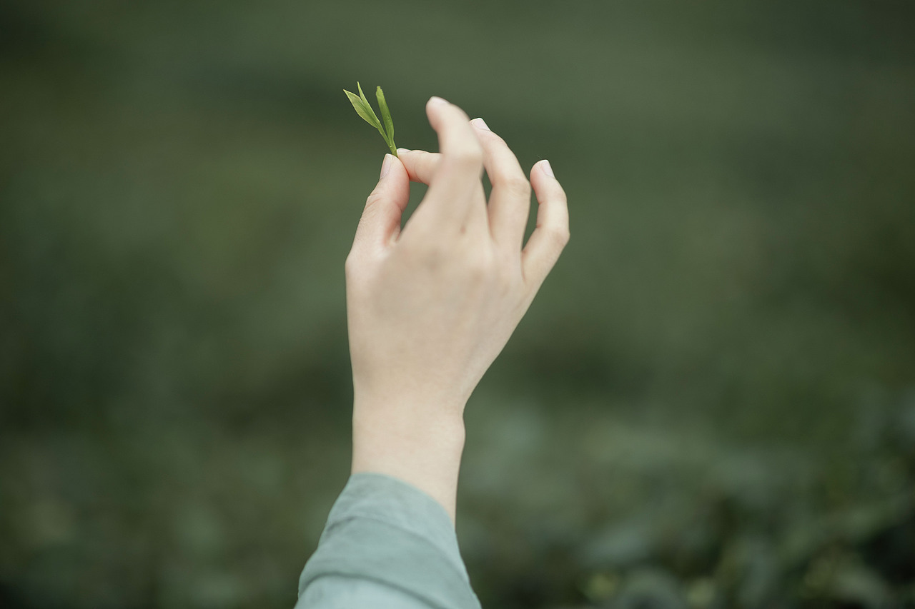 明前绿（图ZMzY5NTMzNzIw） - 人像摄影 - 站酷设计师若寒Rock原创素材 - 站酷ZCOOL