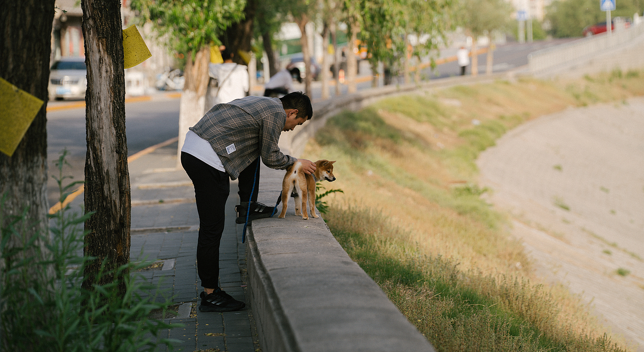 近期摄影练习总结
