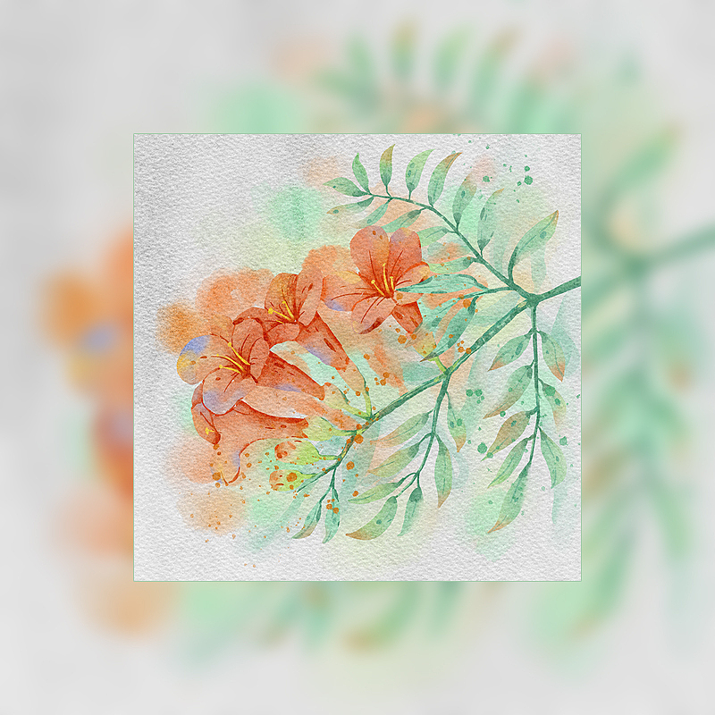 iPad水彩练习 procreate还是蛮香的