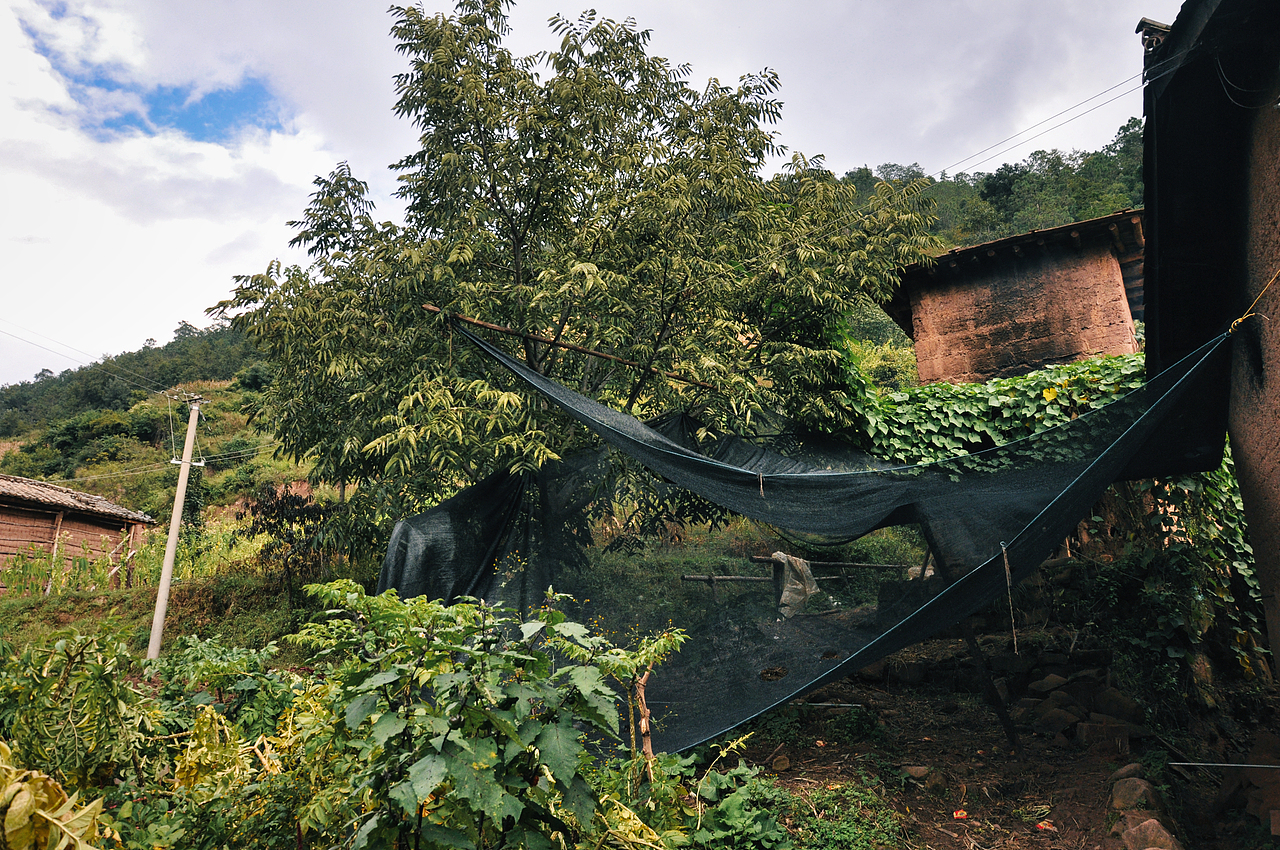 2013年国庆回家村子里（一）（图ZMzU2ODAyODAw） - 人文/纪实摄影 - 站酷设计师焦虑到掉头发原创素材 - 站酷ZCOOL