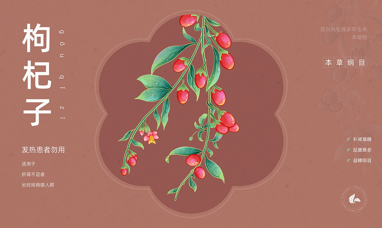 中药仙草集·壹（图ZMzY2OTQ5MjEy） - 创作习作 - 站酷设计师苒色时光原创素材 - 站酷ZCOOL