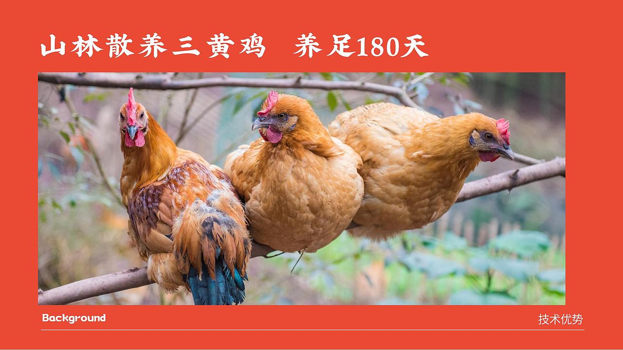 餐饮类 品牌设计全案