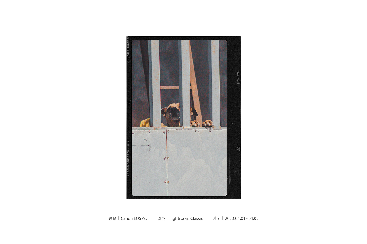 遇见油画般的【北疆】