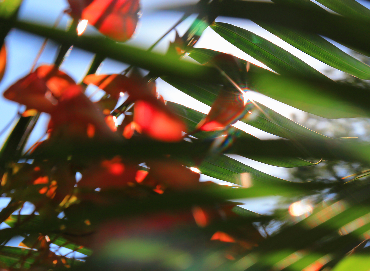 “能力有限,欲海无边;人是贬入凡间的神,他没有忘记天国的一切。”—— A.de 拉马丁