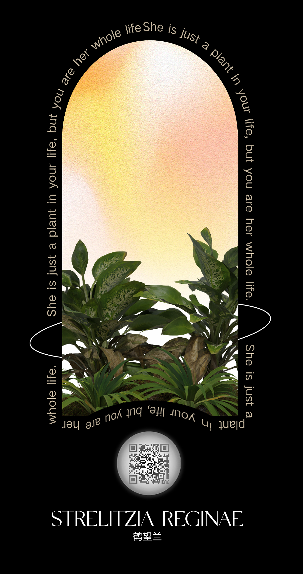 #2022青春答卷#彼岸花园-HANA TEXT