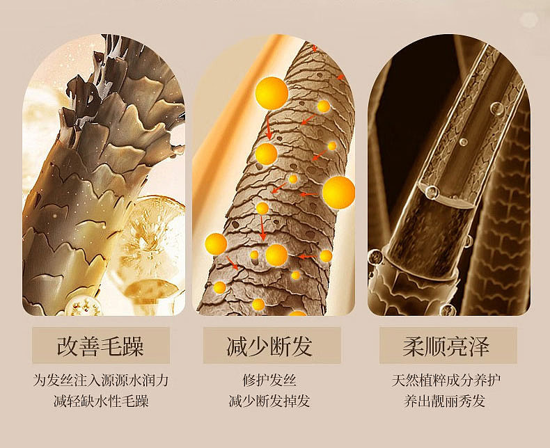 防脱育发洗发水详情