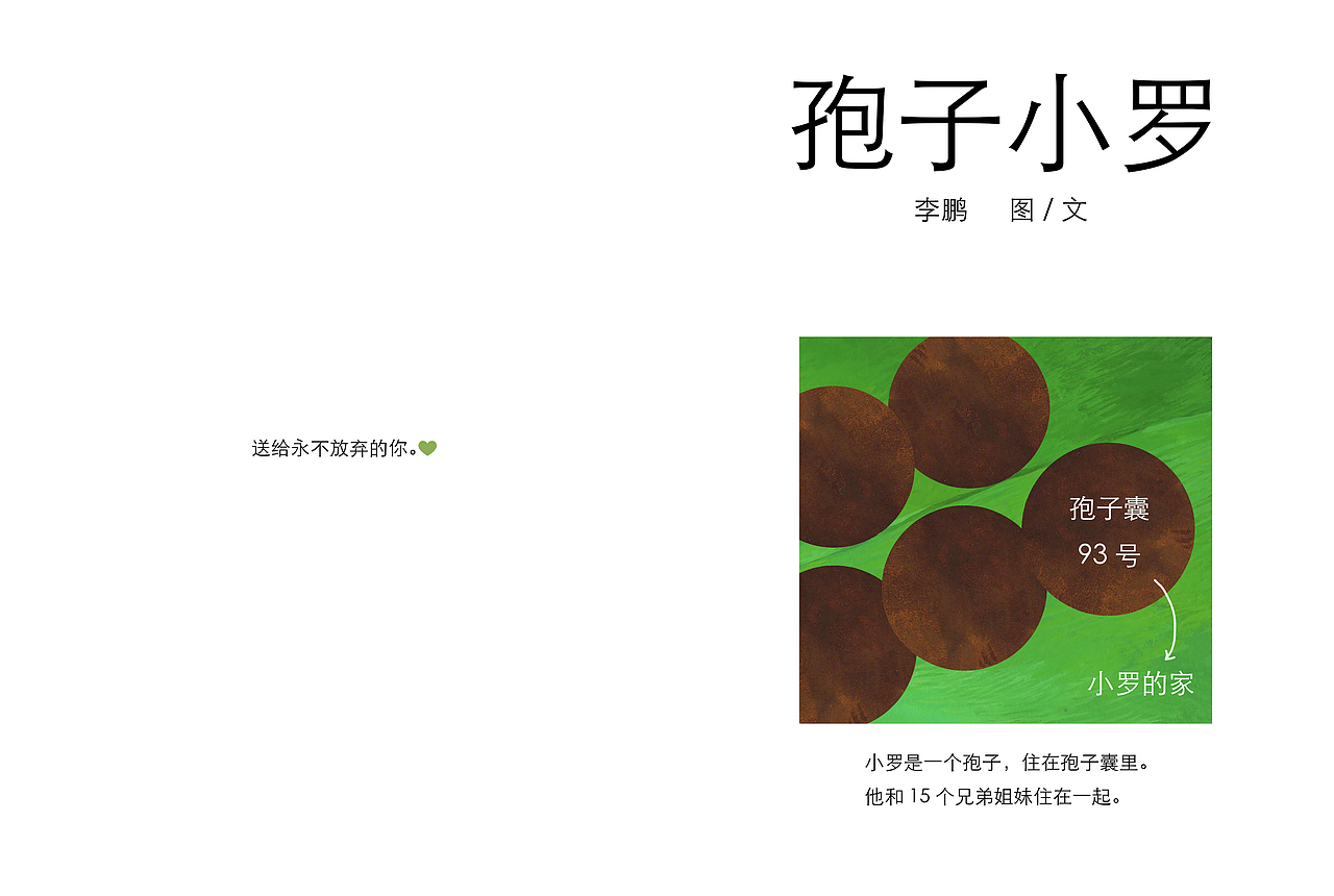 绘本《孢子小罗》