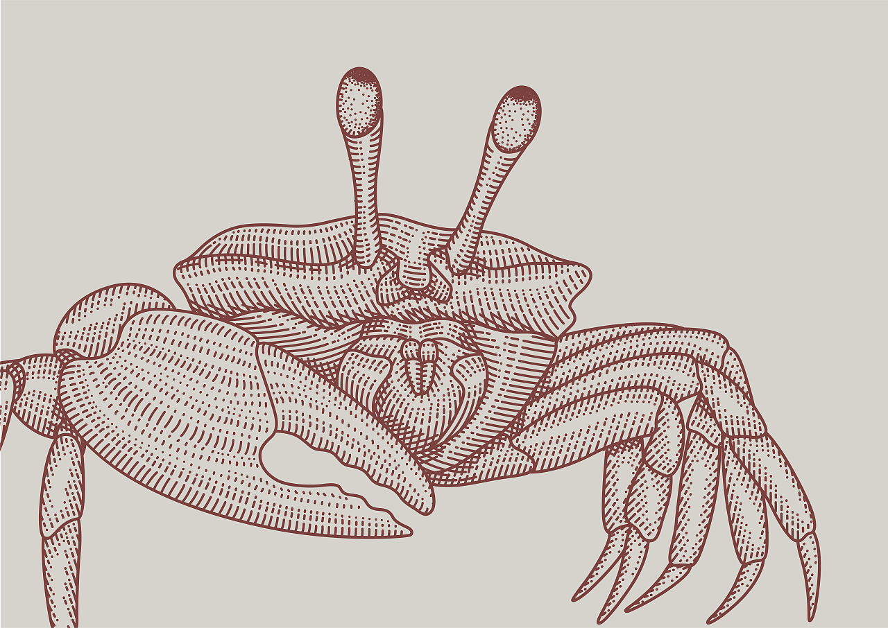 LW:大闸蟹包装插画（图ZMzI0OTcwNjk2） - 商业插画 - 站酷设计师亦冬原创素材 - 站酷ZCOOL