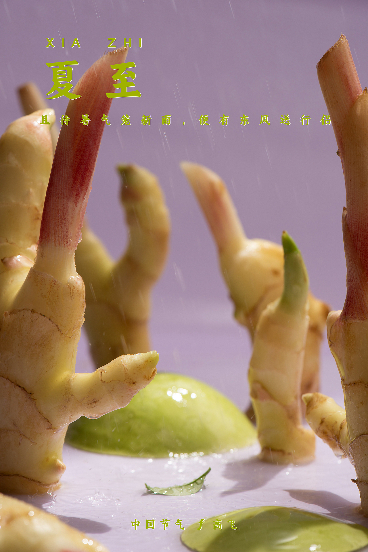 【中国节气】夏至——且待暑气笼新雨，便有东风送行侣
雨水总是不期而遇，中国传统文化里讲究借景夹景障景藏景框景，等等来保留心中意象。对于无形之物，大多含蓄演化。一场酣畅淋漓的雨，必然戏剧效果拉满，但时断时续的阵雨，则不太好表达。只会说趁着雨停的空当儿赶快上路。<br>行人匆匆，又是谁家大儿哪位旅客。