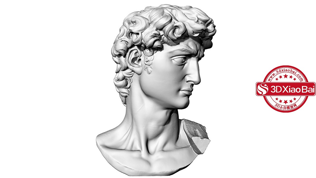 米开朗基罗的大卫头像雕塑3d模型（图ZMzM3NDkyMDg4） - 人物/生物 - 站酷设计师佩奇总原创素材 - 站酷ZCOOL