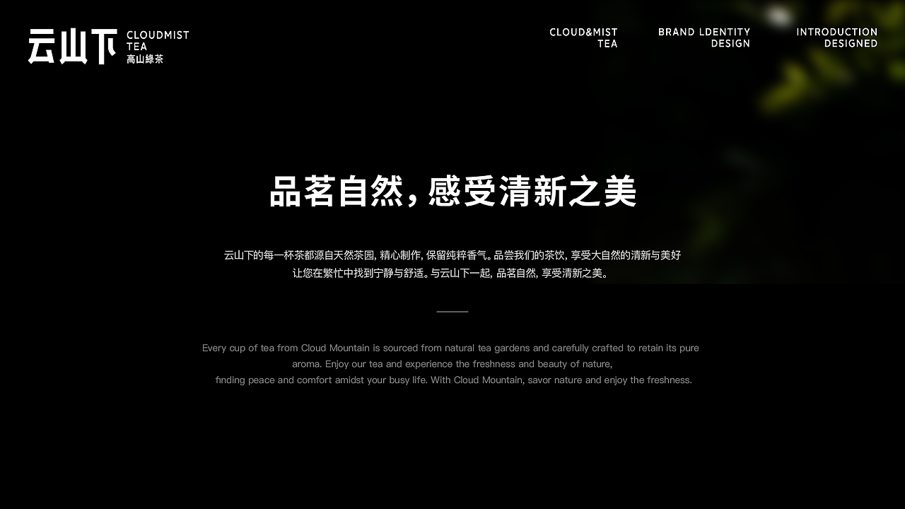 CloudMistTea Brand Design /云山下-高山绿茶品牌设计