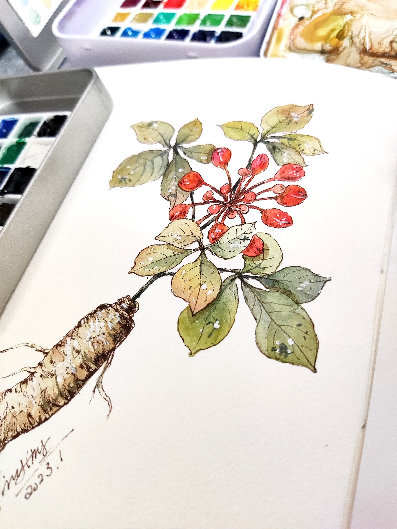 2023年1月份手绘水彩画总结30张