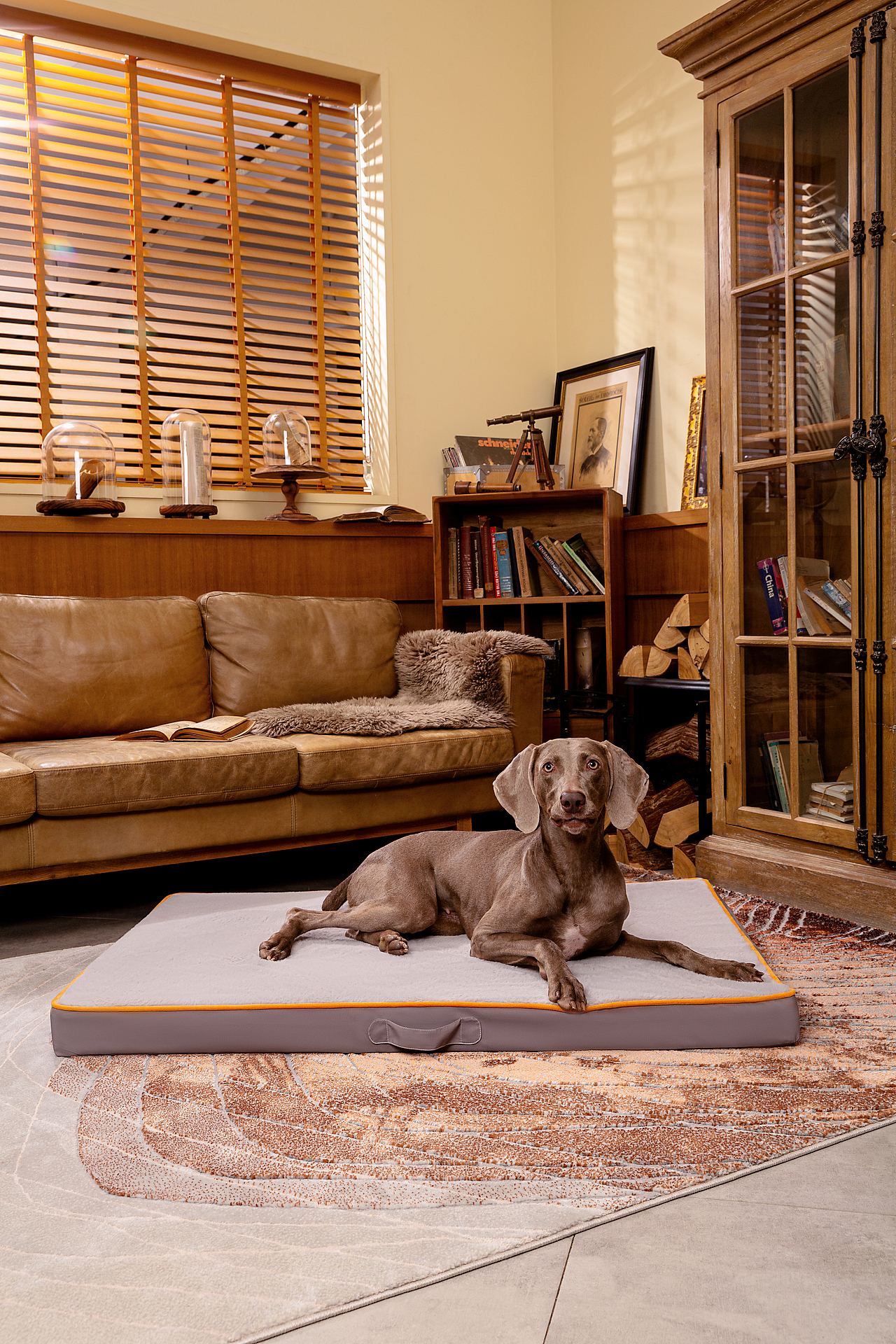 宠物窝摄影（图ZMzQ2Nzg1ODk2） - 产品摄影 - 站酷设计师一木光影原创素材 - 站酷ZCOOL