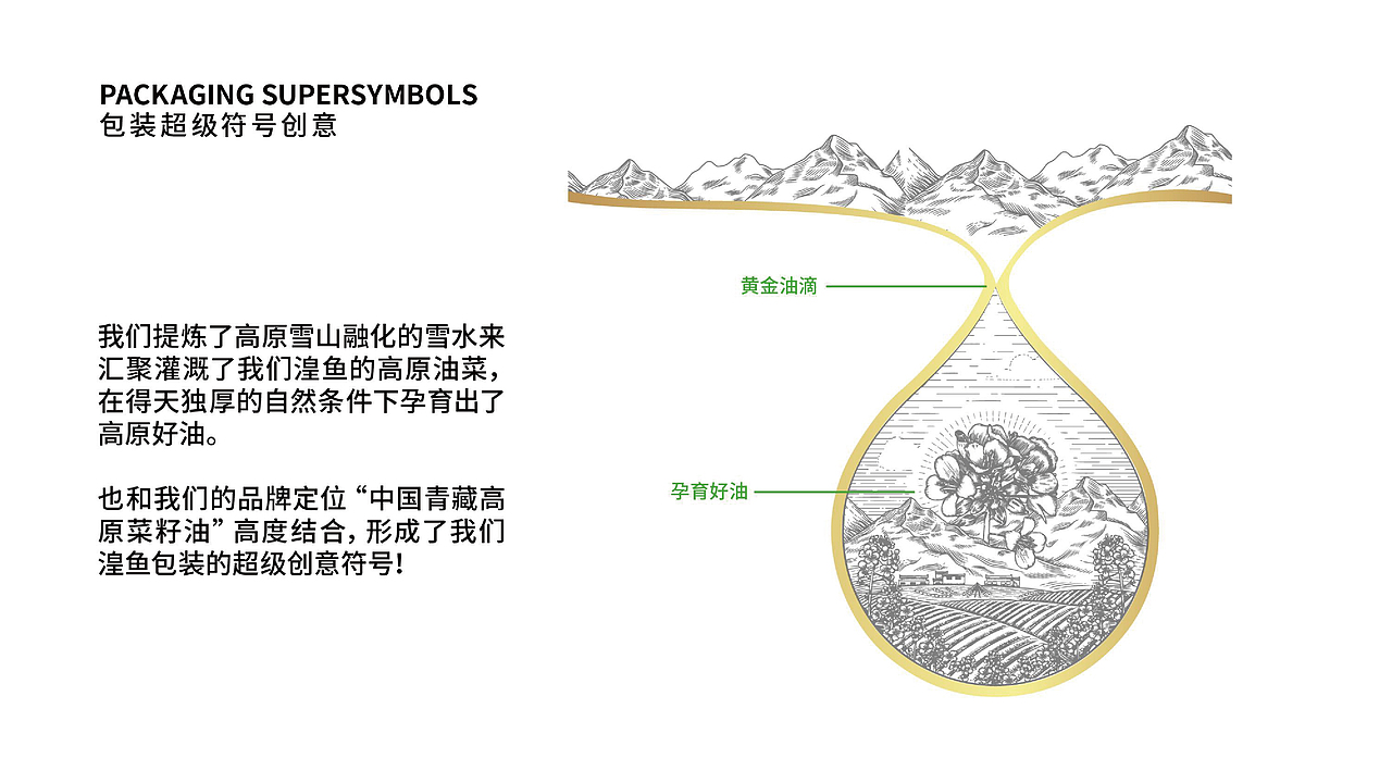 青海湟鱼高原菜籽油品牌全案策划升级